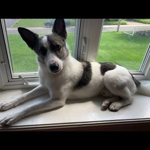 Meet your Posher, Deanna